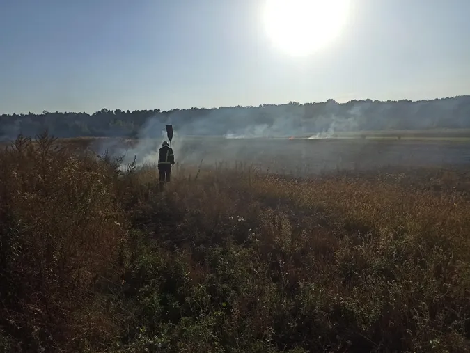 У Луцькому районі горіло пів гектара сухої трави (фото)