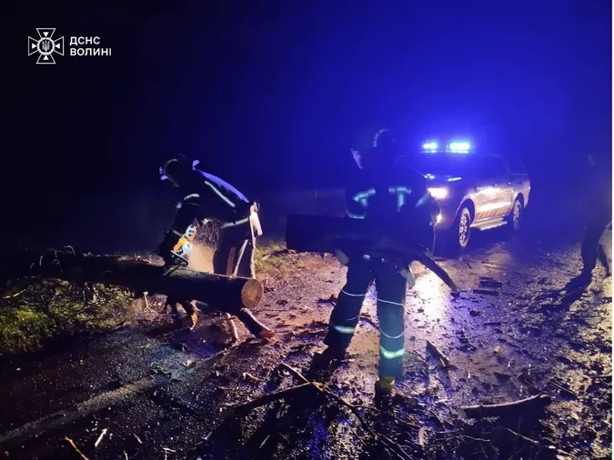 На Волині під ранок вітер звалив на дорогу дерево (фото)