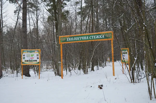 Мисливство на Волині: реалії та потенціал