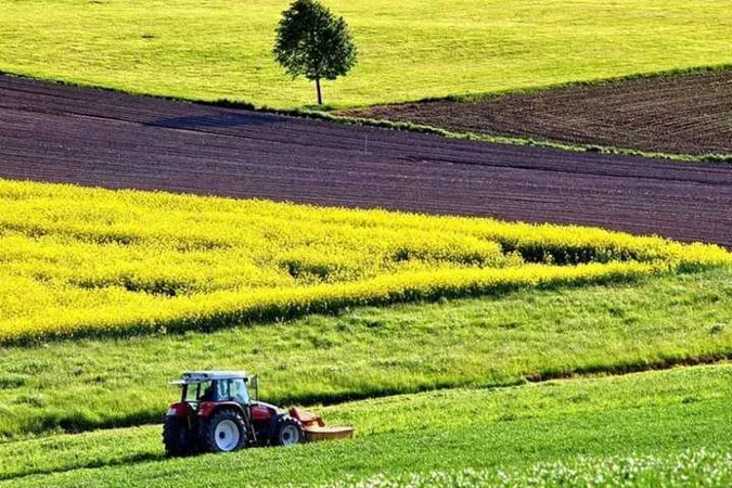 Запуск ринку землі: Волинь – серед регіонів, де гектар коштує найдешевше