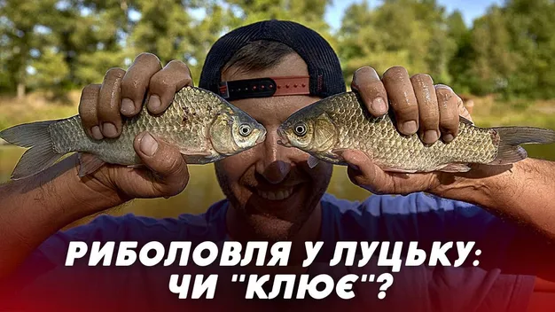Яку рибу можна зловити на водоймах у Луцьку (відео)