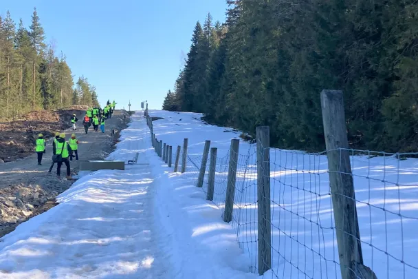 Фінляндія відгороджується парканом від росії (фото)