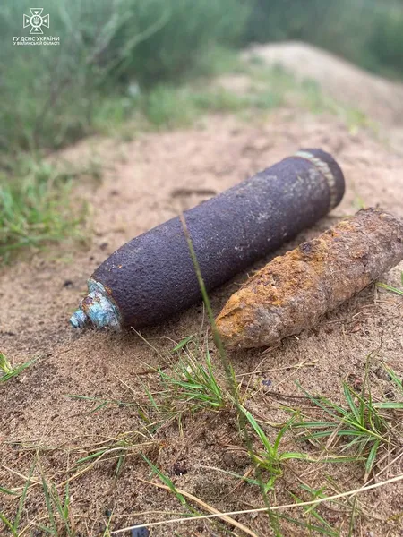 Піротехніки знищили снаряди, знайдені волинянами (фото)