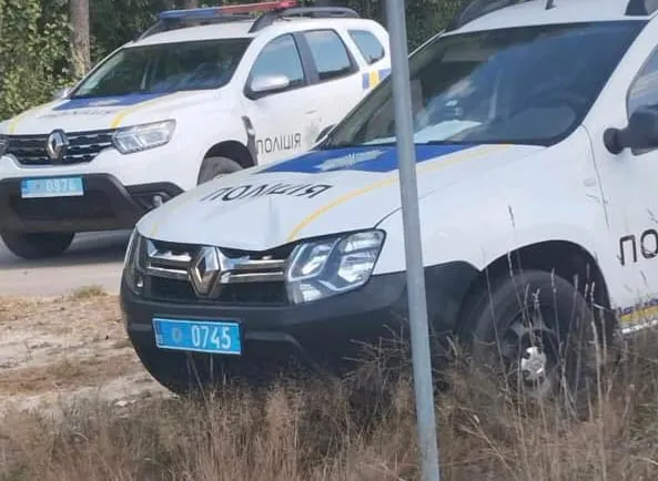 Вибігла на дорогу: на Волині поліцейські збили жінку (фото)