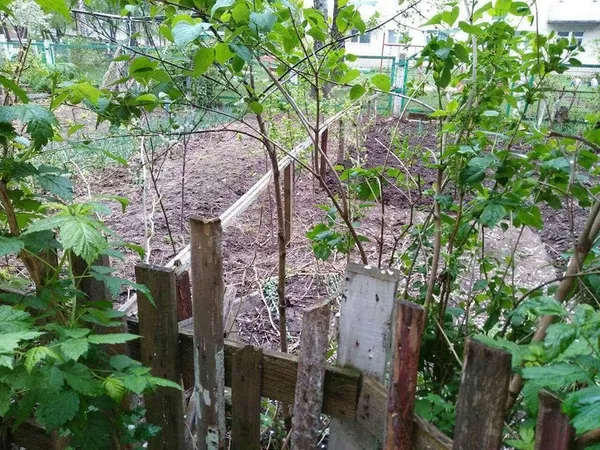 Геть штахети та корчі під вікнами будинків: у Луцьку «зносять» паркани (фото)
