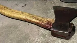 Убив сокирою, бо не дали випивки: подробиці подвійного вбивства у Луцькому районі (відео)