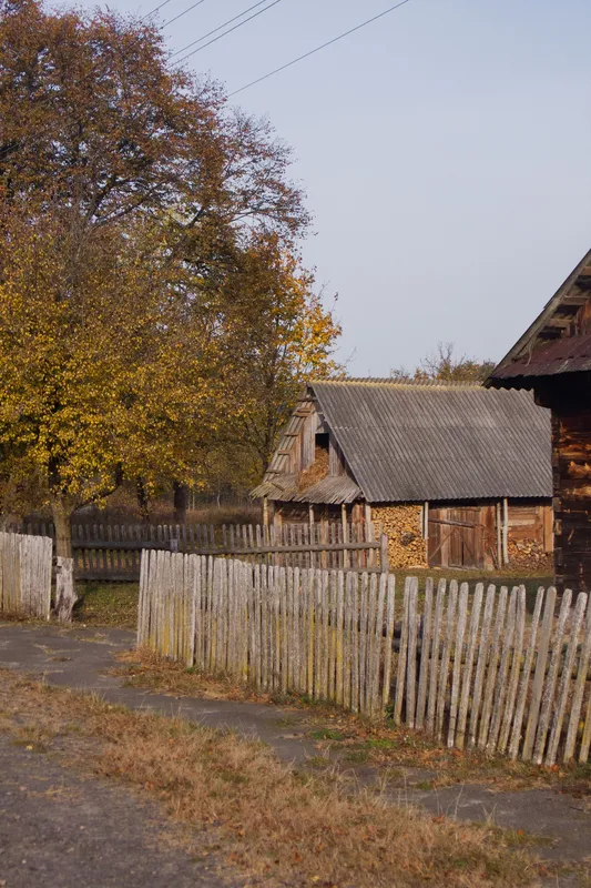 Простота, спокій, загадковість: осінь у селі на Волині (фото)