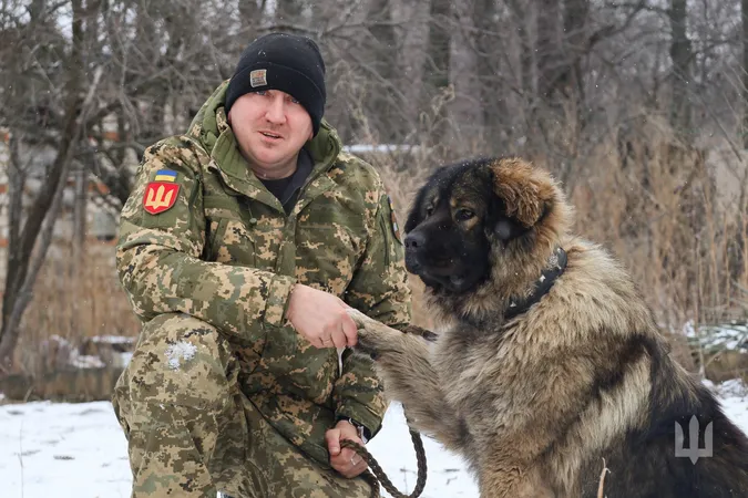 «Ведмедик-антистрес»: як чотирилапий побратим допомагає на фронті воїну з Волині (фото)