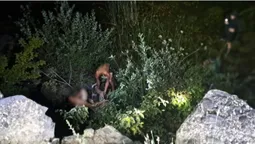 Падав з шестиметрової висоти: що відомо про волинянина, який травмувався у кар'єрі (фото)