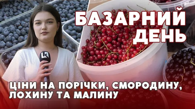 Малина, порічки, смородина та лохина: скільки коштують літні ягоди на луцькому базарі (відео)