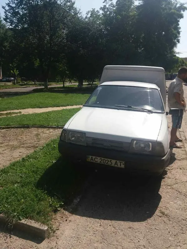Автівки на газонах: у Луцьку ловили порушників (фото)