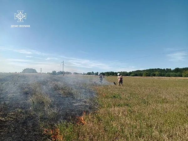 Неподалік від Світязя горів торф'яник (фото)