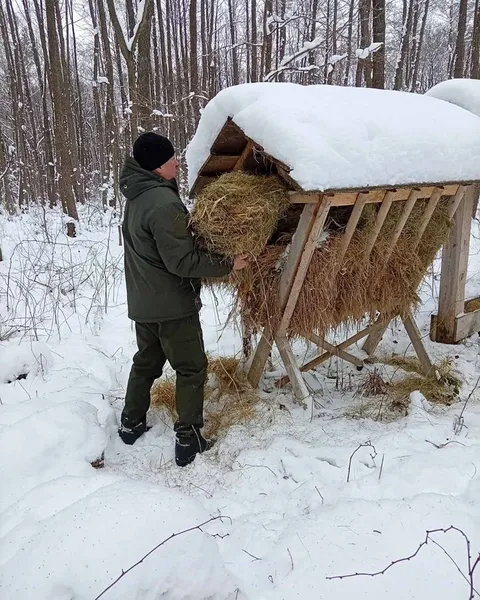 Ріжуть кригу бензопилою: що коїться у Шацькому парку на Волині (фото)