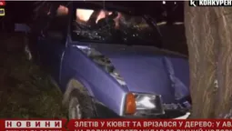 Біля Луцька автівка влетіла в дерево: повідомили про стан водія (відео)