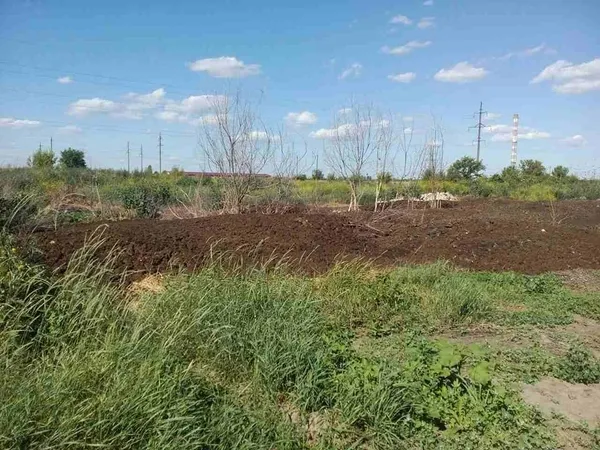 Сморід на Львівській: знайшли ще одну причину (фото) 