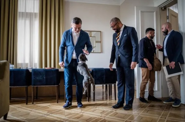 Пес Патрон і компанія: історії тварин, що стали відомими під час війни (фото)
