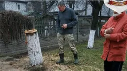 За спиляне дерево лучанин заплатить штраф (фото)