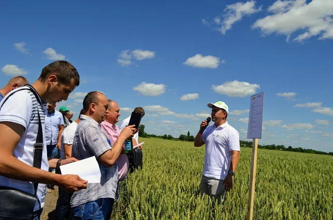 На легких ґрунтах ми не йдемо у великі витрати