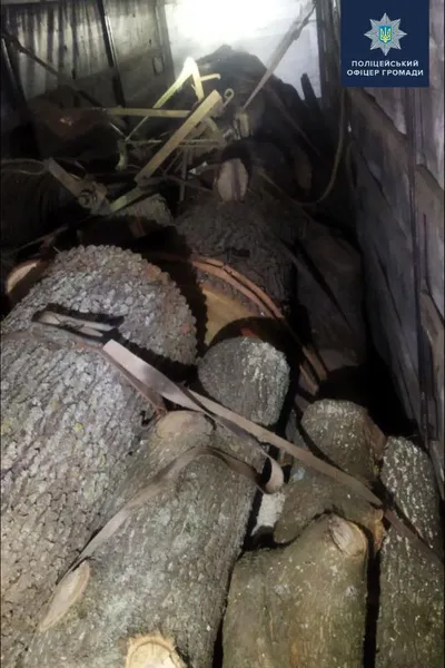 На Волині затримали вантажівку з дубовими колодами (фото)