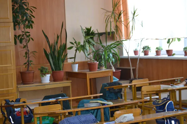 Освіта в тренді: луцький НВК «ЗОШ №24 – технологічний ліцей» (фото)