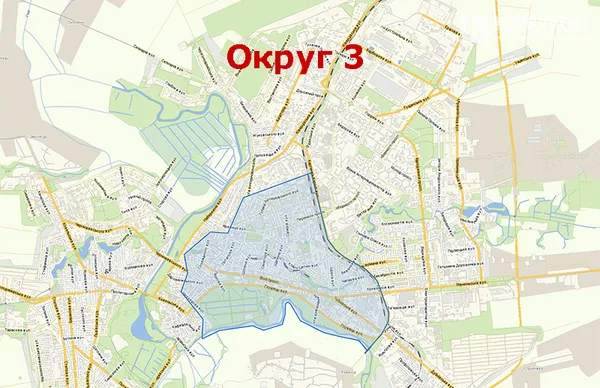 Вибори-2020: всі кандидати по округах до Луцької міської ради