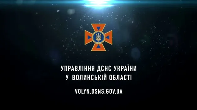 У Старовижівському районі горів будинок: загинули дві людини (фото, відео)