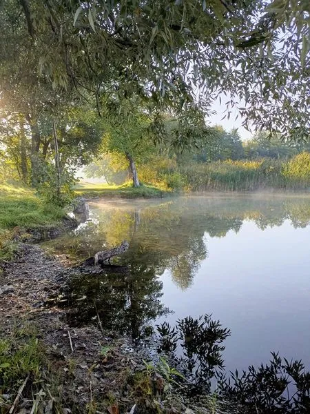 Дуже глибоке і з рибою: показали затуманене озеро на Волині (фото)