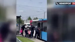 У Струмівці біля Луцька пасажирки автобуса влаштували бійку прямо на зупинці (відео)