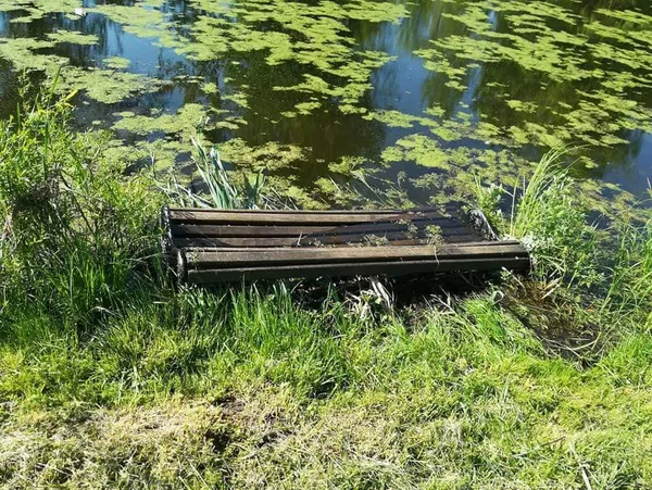 Безпечне місто: у луцькому парку встановлять відеокамери (фото)