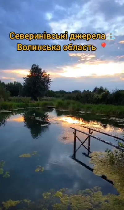 Стирчать труби і не бурлить вода: на Волині зникли унікальні Оконські джерела (фото, відео)