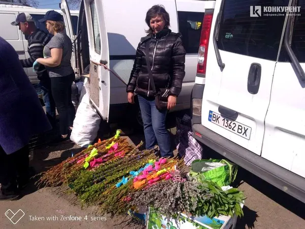 Не я б’ю – верба б’є: в яку ціну на луцькому Старому ринку верба (фото)