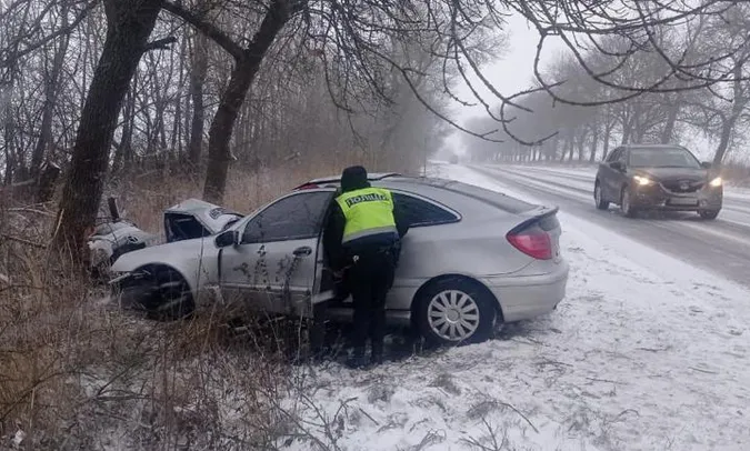 На автодорозі Луцьк – Львів «мерс» протаранив дерево: постраждали жінка і двоє маленьких дітей (фото)