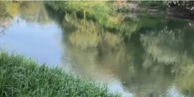 З'їхали з траси – і до самої води: біля Луцька показали рибне місце (відео)