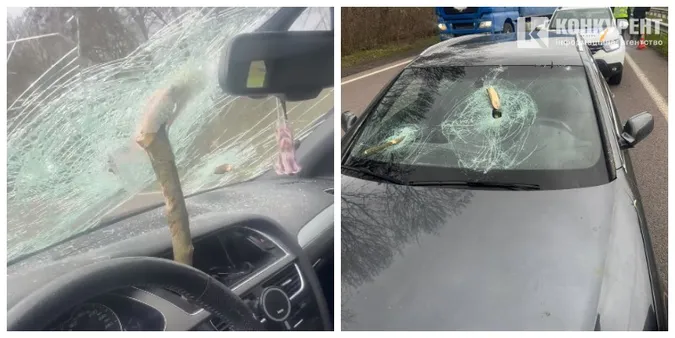 На авто лучанки на швидкості впало дерево і проштрикнуло «лобовуху»: моторошні деталі (фото, відео)