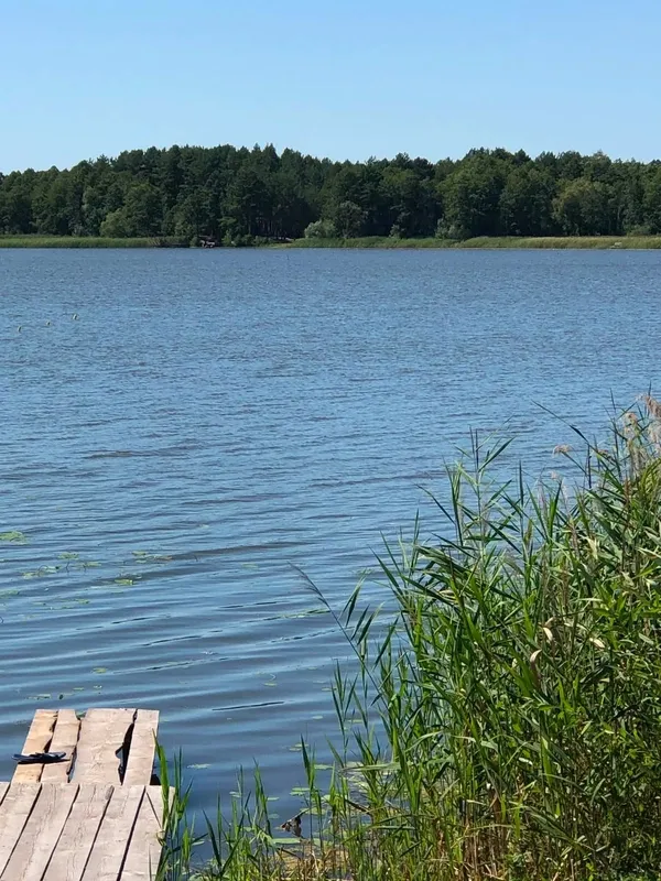Не лише Світязь: на Шацьких озерах причаїлася мальовнича водойма з моторошною назвою (фото)