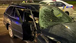 П'яна лучанка в'їхала в дерево: допомогти їй приїхав чоловік, теж п'яний (фото)