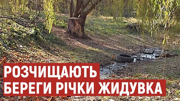 У Луцьку в «Дубовому гаю» чистять береги Жидувки (відео)