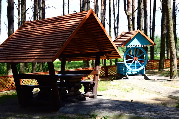 Лісівники соціальні: подорож рекреаційними пунктами Волині (фото)