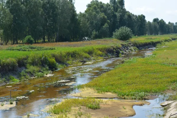 В одному із сіл Волині знову запрацював шлюз на річці Прип'ять (фото)