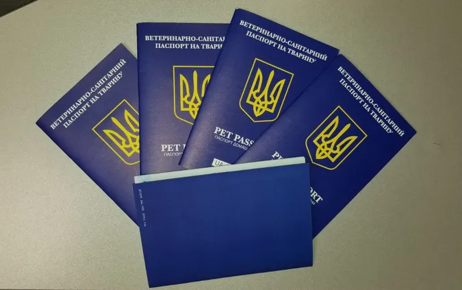 Лапки в безпеці: у Дії з'являться паспорти домашніх улюбленців