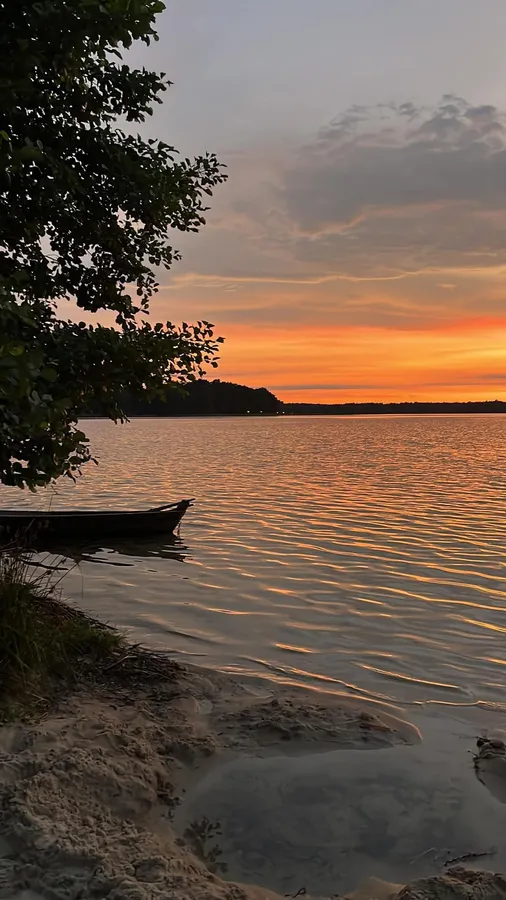 Ніжна, як молоко: на Волині є озеро зі «срібною» водою (фото)