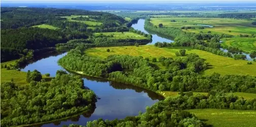 Із Волині у Дніпро через Білорусь, крізь болота та ліси несе свої води неймовірна річка (фото)