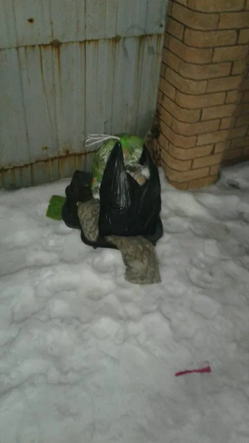Муніципали вкотре зловили лучан, які викидають сміття на узбіччя  