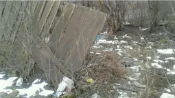 Зламаний паркан і сміття: у Луцьку занедбали земельну ділянку (фото)