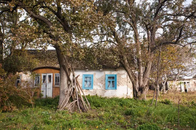 Містично-туманна Волинь: показали таємничі закутки регіону (фото)
