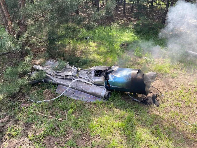 На Дніпропетровщині збили російську ракету: вона впала на галявині (фото)