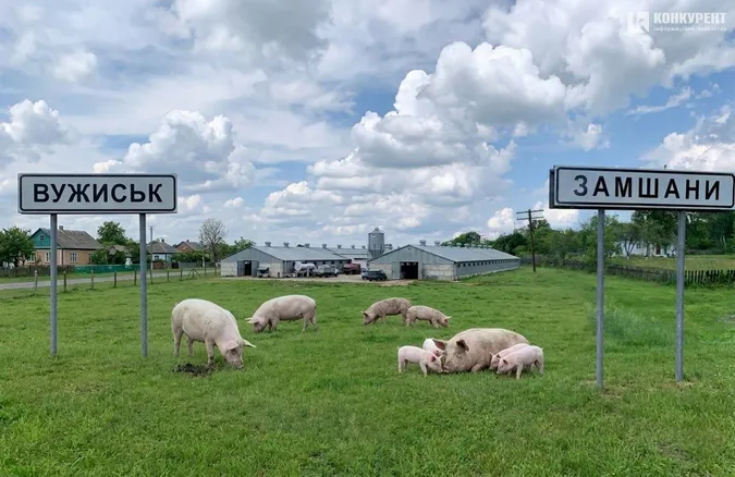Фото ілюстративне, згенероване ШІ