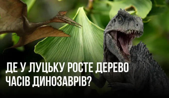 Фото – ілюстративне