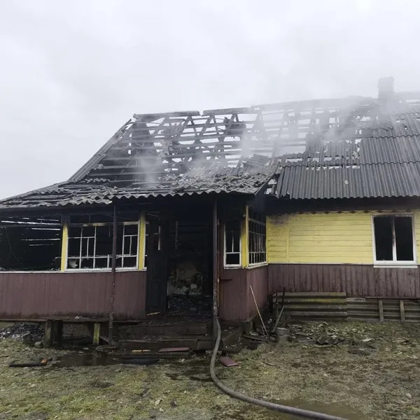 У пожежі на Ковельщині жінка обпекла кисті обох рук (фото)