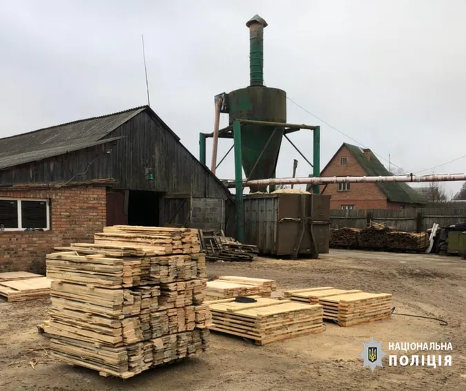 Деревина і бурштин: на волинських лісопильнях – масові обшуки (фото, відео)